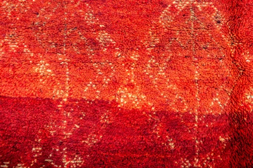 Alfombra roja