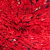 Alfombra roja