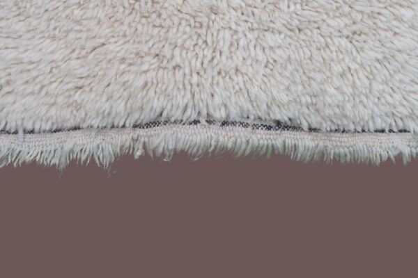 Living Room Rug
