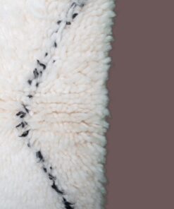 Living Room Rug