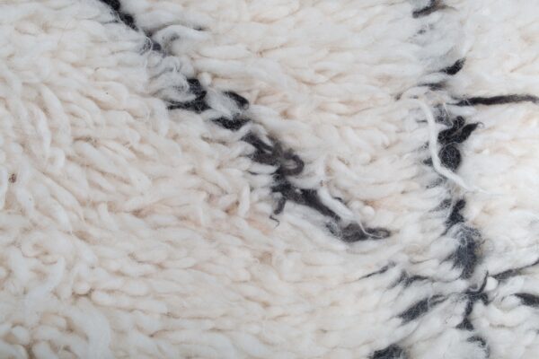 White Lines Beni Ourain Rug - Handwoven Moroccan Wool Rug (3.9 ft x 2.5 ft) - Image 5