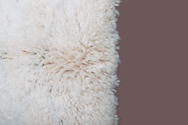 Tapis tissé à la main