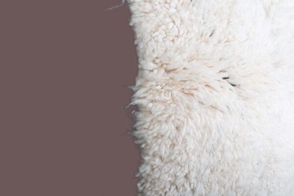 Tapis en fibres naturelles