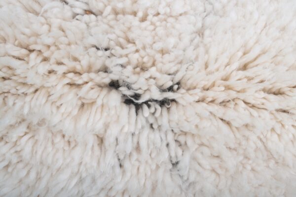 White Lozenges Beni Ourain Rug - Handwoven Moroccan Wool Rug (4.3 ft x 2.6 ft) – Image 5