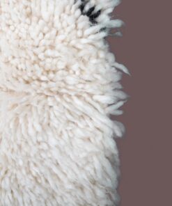 Wool Rug