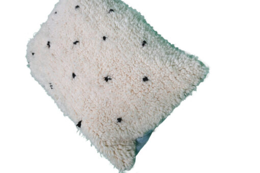 coussin jeté