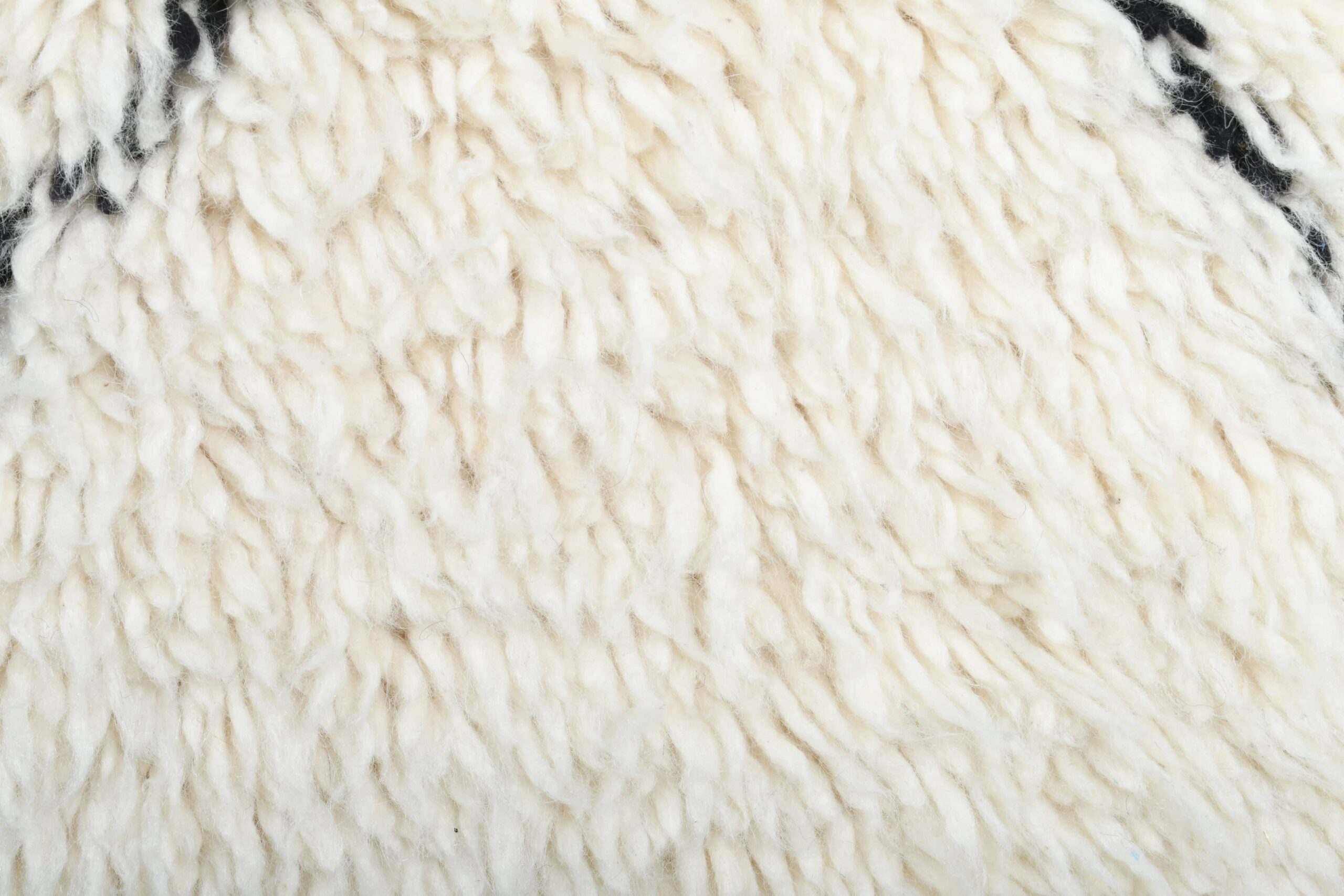 Moroccan Rug Handmade Wool 2x4 - Ivory Black Minimalist Boho Area Rug for Bedroom Entryway Beni Ourain - Imagen 5