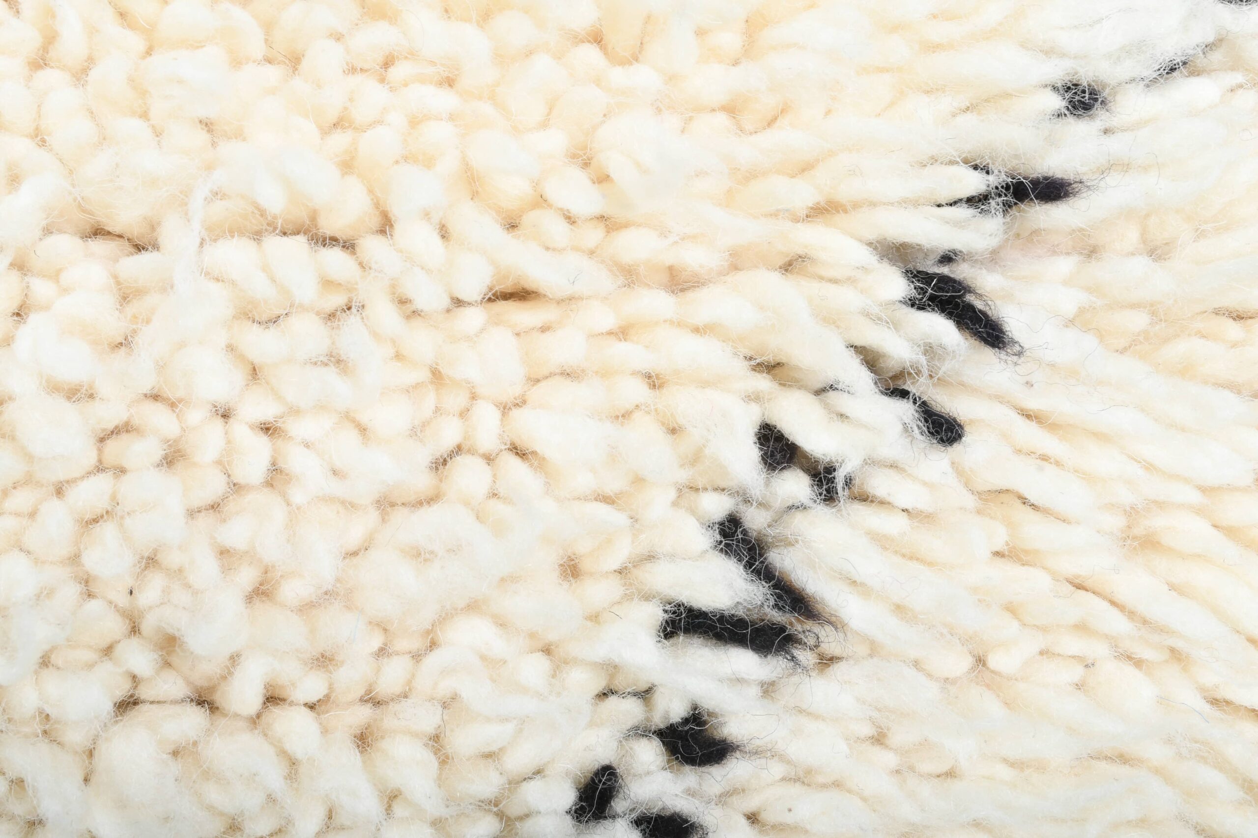 Moroccan Rug Handmade Wool 2x4 - Ivory Black Minimalist Boho Area Rug for Bedroom Entryway Beni Ourain - Imagen 6