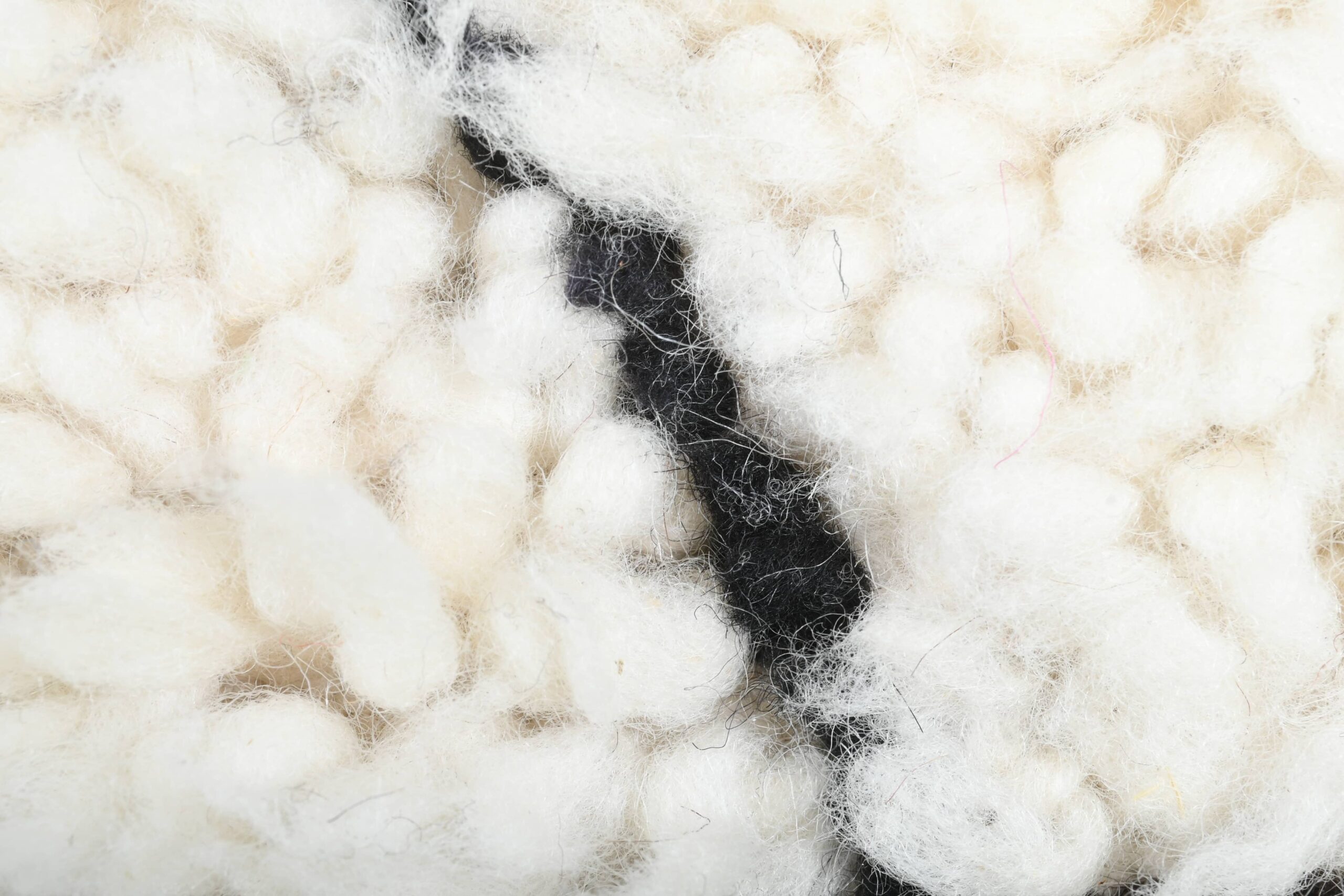 Moroccan Rug Handmade Wool 2x4 - Ivory Black Minimalist Boho Area Rug for Bedroom Entryway Beni Ourain - Imagen 9