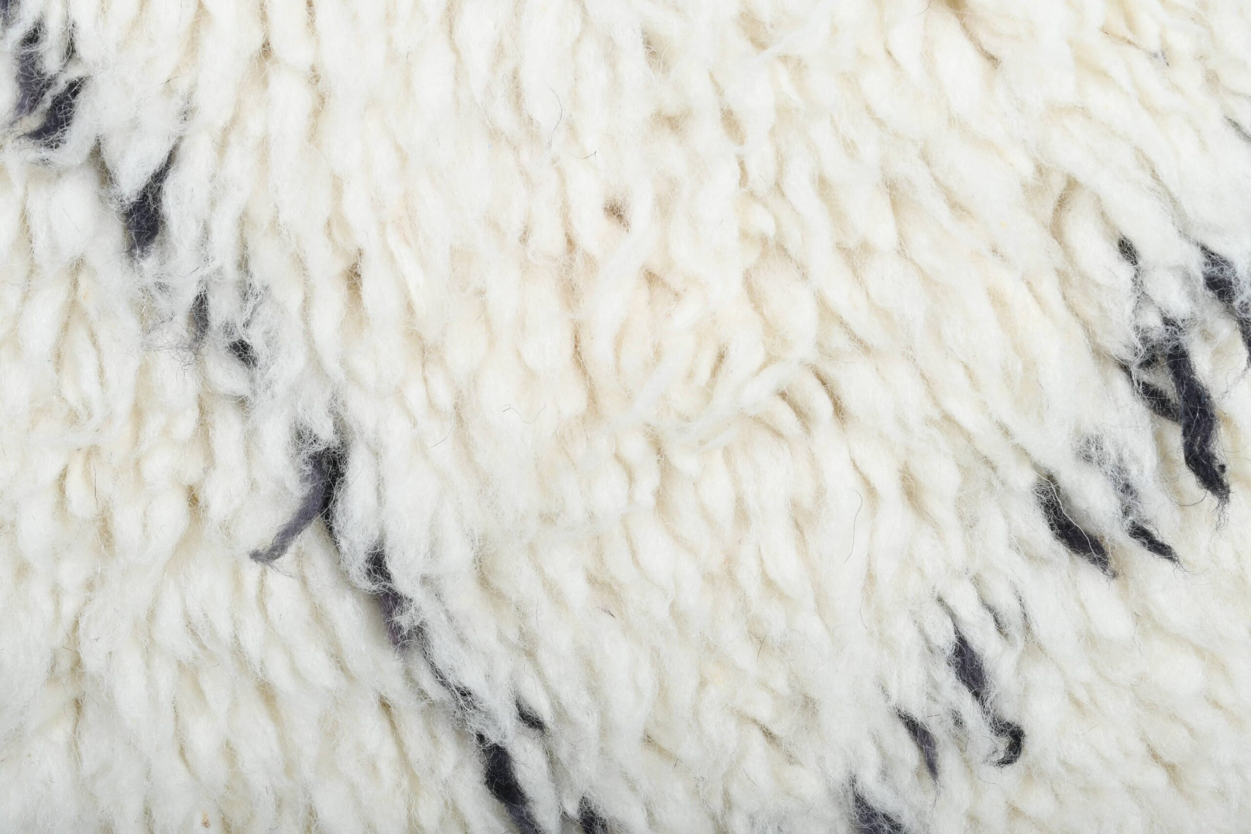 Moroccan Rug Handmade Wool 2x4 - Ivory Black Minimalist Boho Area Rug for Bedroom Entryway Beni Ourain - الصورة 10