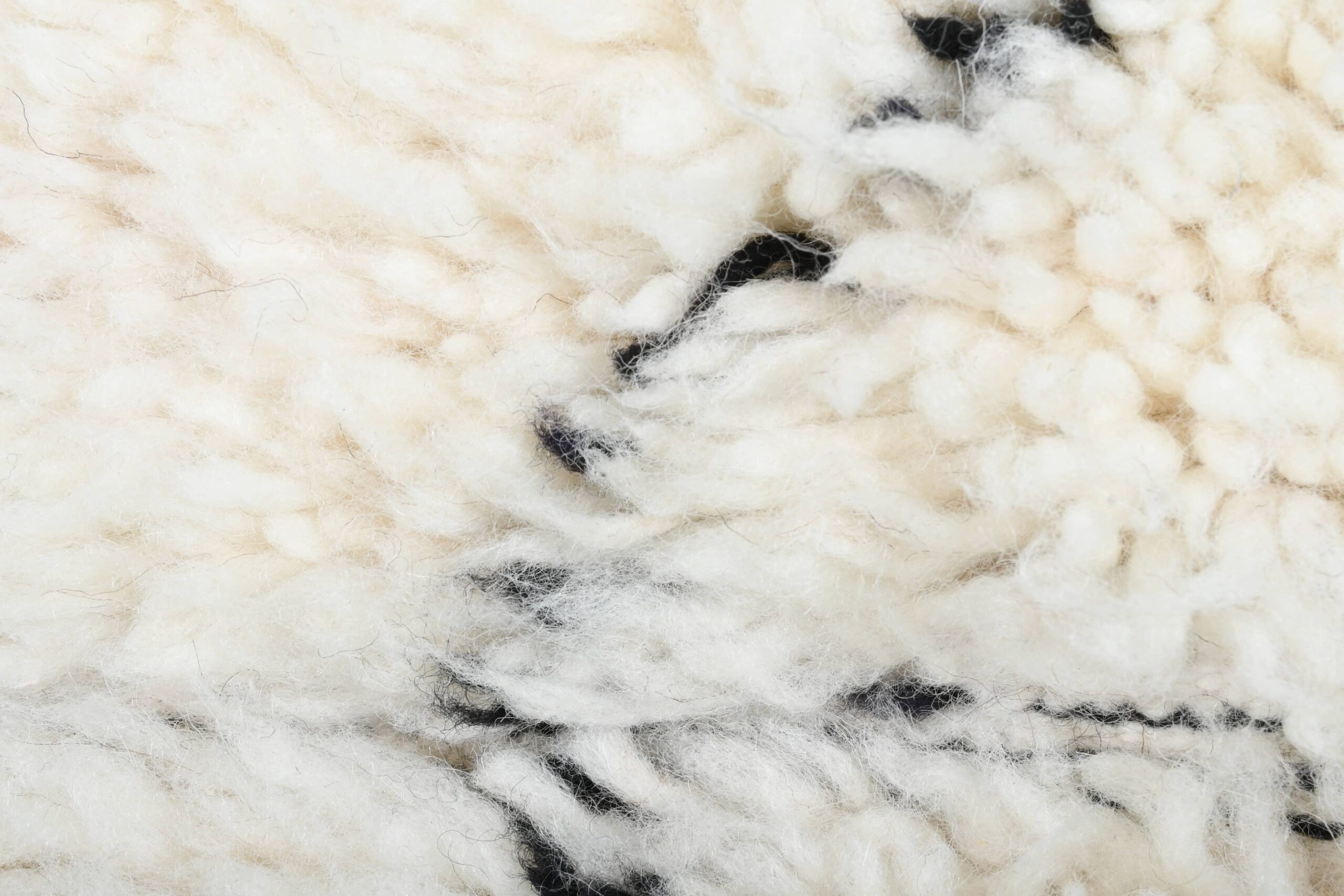 Moroccan Rug Handmade Wool 2x4 - Ivory Black Minimalist Boho Area Rug for Bedroom or Entryway Beni Ourain - الصورة 7