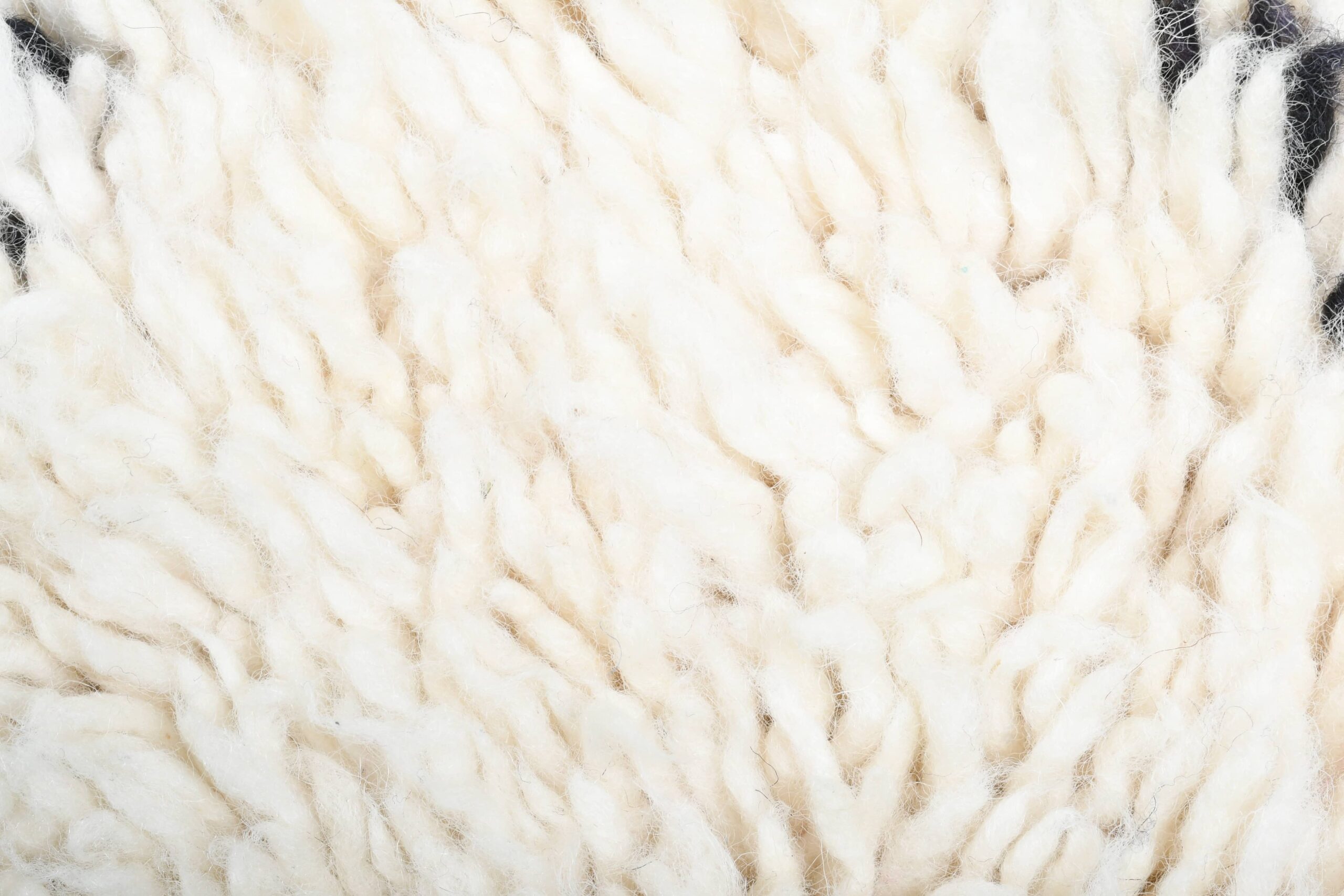 Moroccan Rug Handmade Wool 2x4 - Ivory Black Minimalist Boho Area Rug for Living Room Bedroom - Beni Ourain – Bild 8