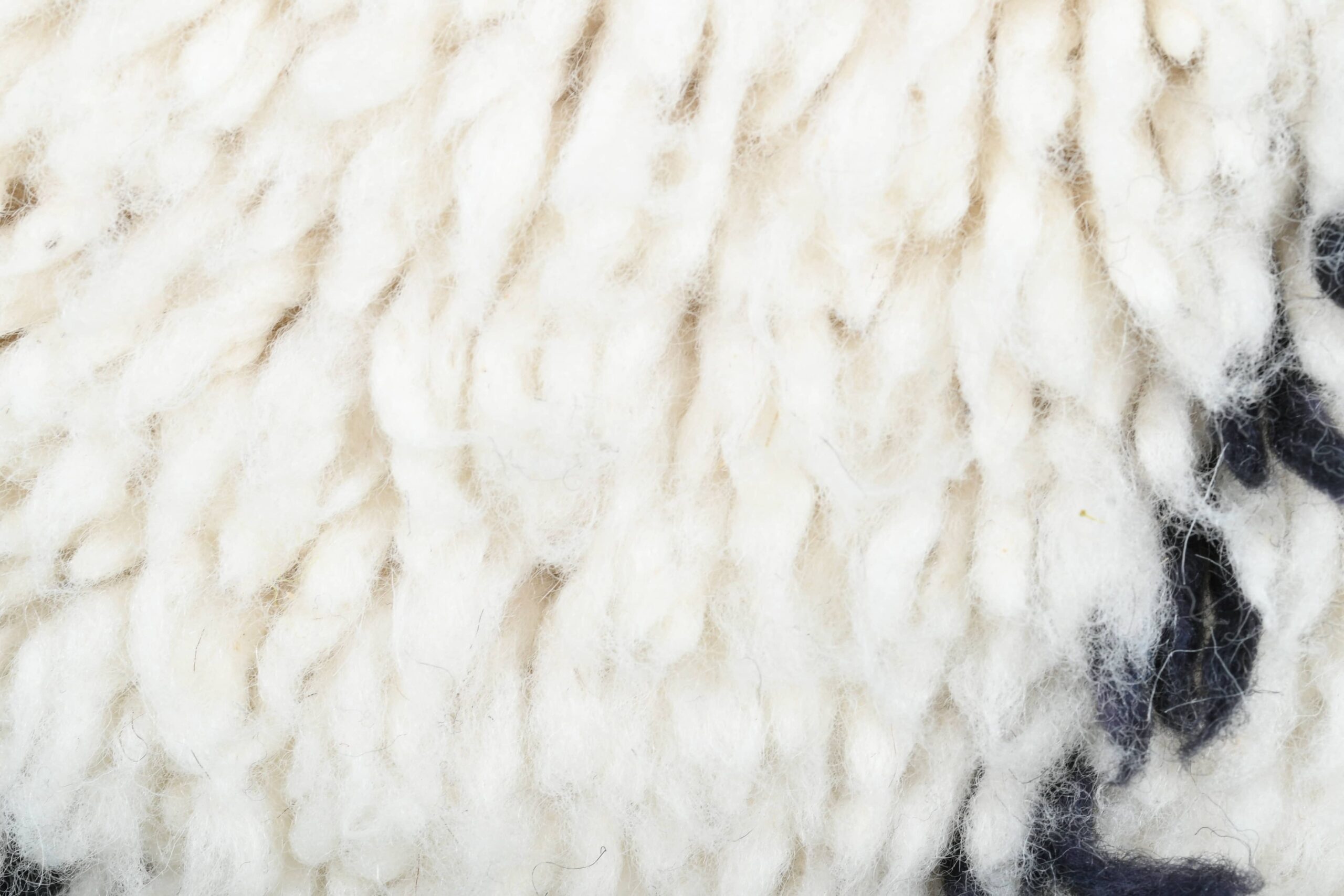 Moroccan Rug Handmade Wool 2x4 - Ivory Black Minimalist Boho Area Rug for Bedroom Entryway Beni Ourain - Imagen 9