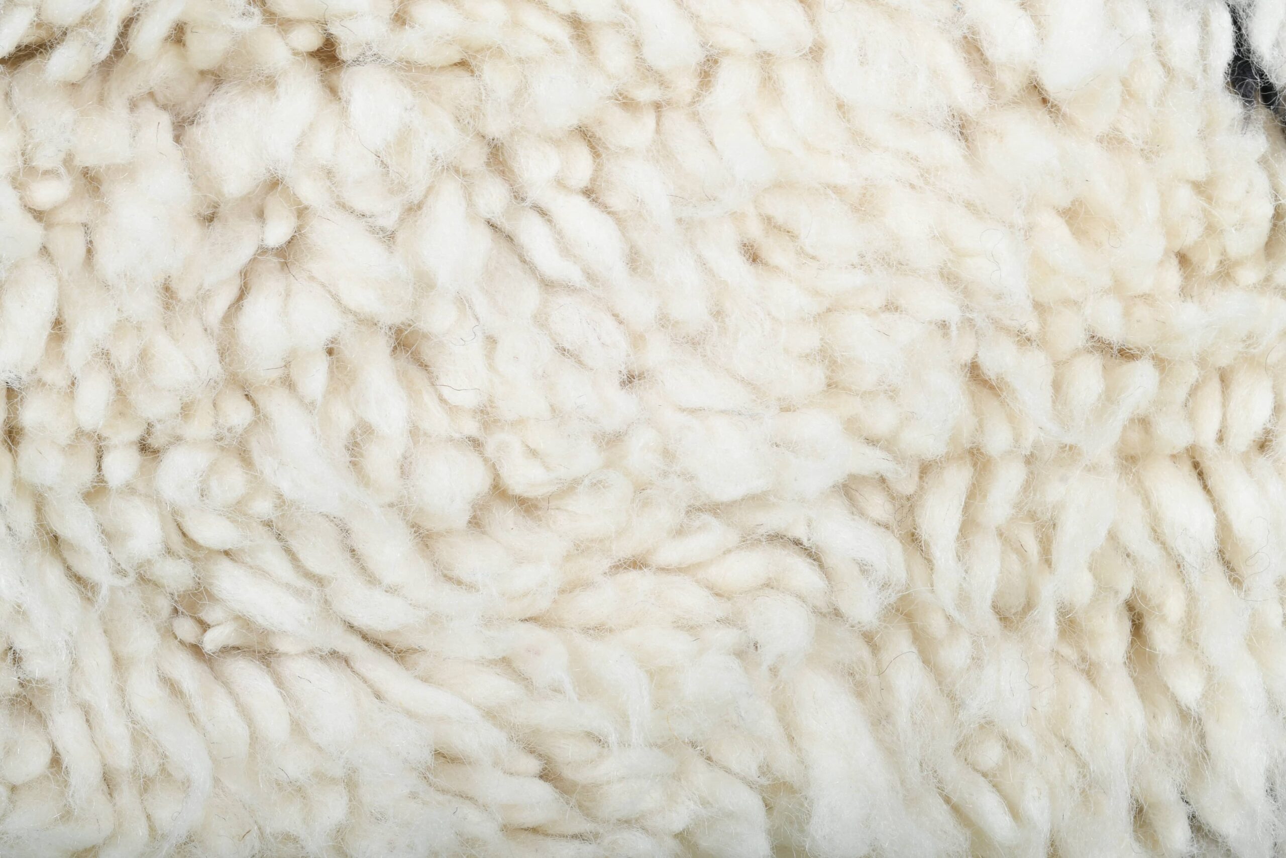 Moroccan Rug Handmade Wool 2x4 - Ivory Black Diamond Minimalist Boho Area Rug for Bedroom or Entryway Beni Ourain - الصورة 9