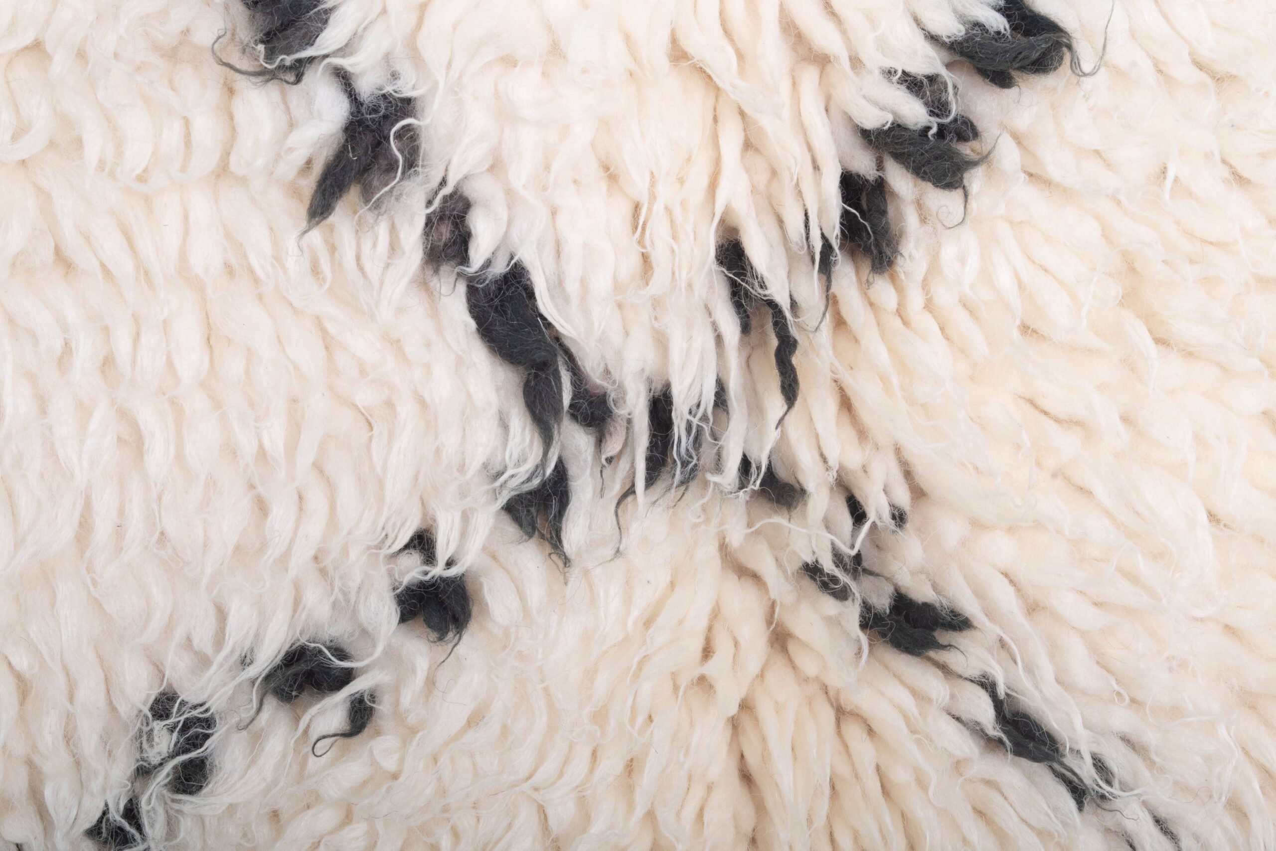 Moroccan Rug Handmade Wool 5x7 - Ivory Black Minimalist Boho Area Rug for Living Room Bedroom - Beni Ourain – Image 8